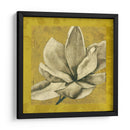 Ecru Magnolia Ii - Jennifer Goldberger | Cuadro decorativo de Canvas Lab