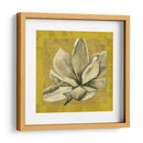 Ecru Magnolia Ii - Jennifer Goldberger | Cuadro decorativo de Canvas Lab