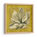 Ecru Magnolia Ii - Jennifer Goldberger | Cuadro decorativo de Canvas Lab