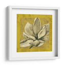 Ecru Magnolia Ii - Jennifer Goldberger | Cuadro decorativo de Canvas Lab