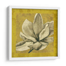 Ecru Magnolia Ii - Jennifer Goldberger | Cuadro decorativo de Canvas Lab