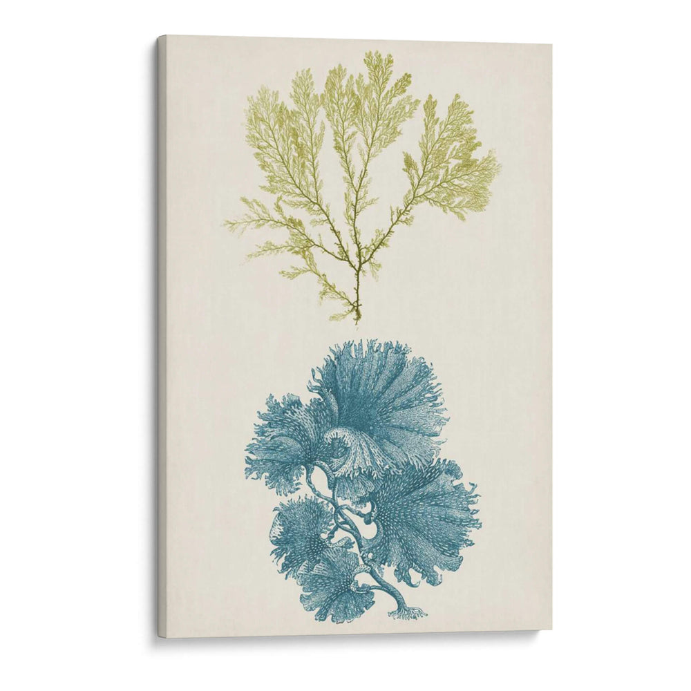 Aqua Y Citron Coral I - Vision Studio | Cuadro decorativo de Canvas Lab