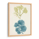 Aqua Y Citron Coral I - Vision Studio | Cuadro decorativo de Canvas Lab