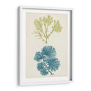 Aqua Y Citron Coral I - Vision Studio | Cuadro decorativo de Canvas Lab