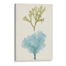 Aqua Y Citron Coral Ii - Vision Studio | Cuadro decorativo de Canvas Lab