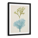 Aqua Y Citron Coral Ii - Vision Studio | Cuadro decorativo de Canvas Lab