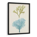 Aqua Y Citron Coral Ii - Vision Studio | Cuadro decorativo de Canvas Lab