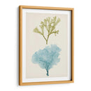 Aqua Y Citron Coral Ii - Vision Studio | Cuadro decorativo de Canvas Lab