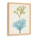 Aqua Y Citron Coral Ii - Vision Studio | Cuadro decorativo de Canvas Lab