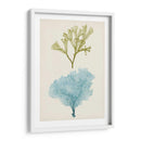 Aqua Y Citron Coral Ii - Vision Studio | Cuadro decorativo de Canvas Lab