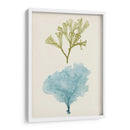 Aqua Y Citron Coral Ii - Vision Studio | Cuadro decorativo de Canvas Lab