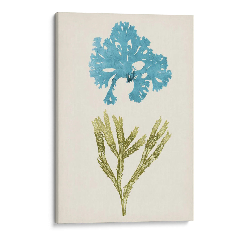 Aqua Y Citron Coral Iii - Vision Studio | Cuadro decorativo de Canvas Lab