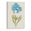 Aqua Y Citron Coral Iii - Vision Studio | Cuadro decorativo de Canvas Lab