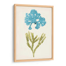 Aqua Y Citron Coral Iii - Vision Studio | Cuadro decorativo de Canvas Lab