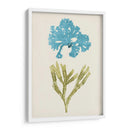 Aqua Y Citron Coral Iii - Vision Studio | Cuadro decorativo de Canvas Lab