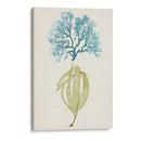 Aqua Y Citron Coral Iv - Vision Studio | Cuadro decorativo de Canvas Lab