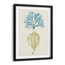 Aqua Y Citron Coral Iv - Vision Studio | Cuadro decorativo de Canvas Lab