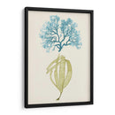 Aqua Y Citron Coral Iv - Vision Studio | Cuadro decorativo de Canvas Lab