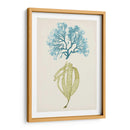 Aqua Y Citron Coral Iv - Vision Studio | Cuadro decorativo de Canvas Lab