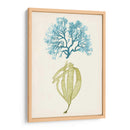 Aqua Y Citron Coral Iv - Vision Studio | Cuadro decorativo de Canvas Lab