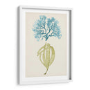 Aqua Y Citron Coral Iv - Vision Studio | Cuadro decorativo de Canvas Lab