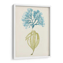 Aqua Y Citron Coral Iv - Vision Studio | Cuadro decorativo de Canvas Lab