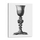 Cobera En Blanco Y Negro Ii - Giovanni Giardini | Cuadro decorativo de Canvas Lab