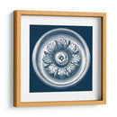 Medallón Clásico En La Marina I - Vision Studio | Cuadro decorativo de Canvas Lab