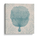 Coral Motif Iii - Vision Studio | Cuadro decorativo de Canvas Lab