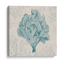 Coral Motif Iv - Vision Studio | Cuadro decorativo de Canvas Lab