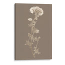 Taupe Nature Study I Custor - Vision Studio | Cuadro decorativo de Canvas Lab