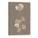 Taupe Nature Study Ii Personalizado - Vision Studio | Cuadro decorativo de Canvas Lab