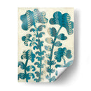 Blueberry Blossoms Ii - Chariklia Zarris | Cuadro decorativo de Canvas Lab