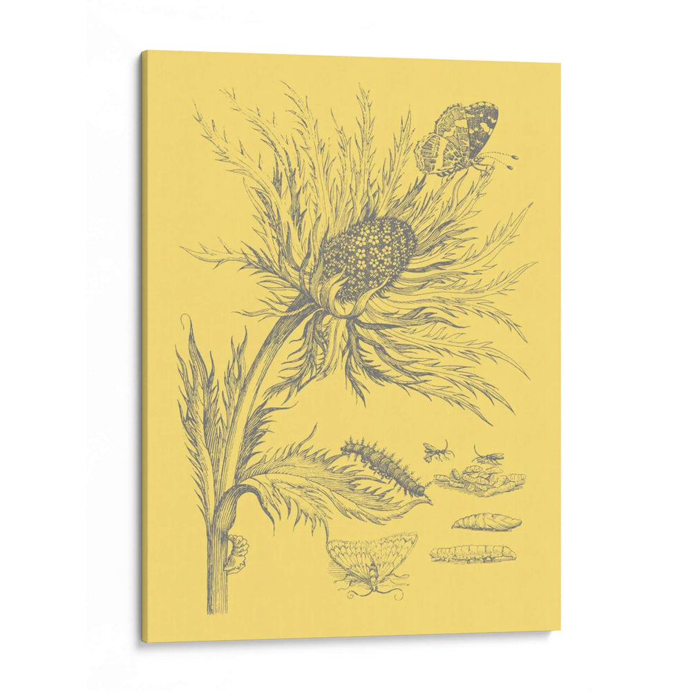 Natures Optimism I - Vision Studio | Cuadro decorativo de Canvas Lab