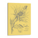 Natures Optimism I - Vision Studio | Cuadro decorativo de Canvas Lab