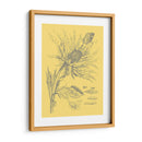 Natures Optimism I - Vision Studio | Cuadro decorativo de Canvas Lab