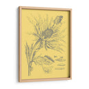 Natures Optimism I - Vision Studio | Cuadro decorativo de Canvas Lab