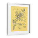 Natures Optimism I - Vision Studio | Cuadro decorativo de Canvas Lab