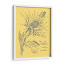 Natures Optimism I - Vision Studio | Cuadro decorativo de Canvas Lab