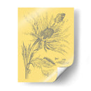 Natures Optimism I - Vision Studio | Cuadro decorativo de Canvas Lab