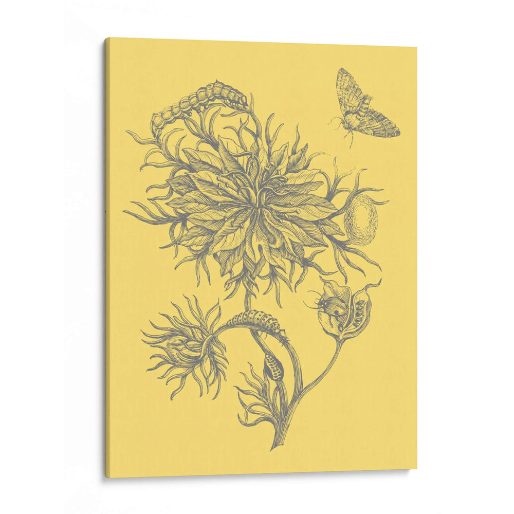 Natures Optimism Ii - Vision Studio | Cuadro decorativo de Canvas Lab