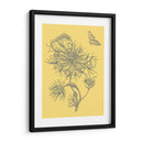 Natures Optimism Ii - Vision Studio | Cuadro decorativo de Canvas Lab