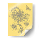 Natures Optimism Ii - Vision Studio | Cuadro decorativo de Canvas Lab