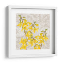 Estudio De Colección De Flores C - Diane Miller | Cuadro decorativo de Canvas Lab