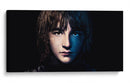 Bran Stark en azul | Cuadro decorativo de Canvas Lab