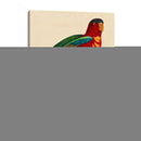 Barraband Parrot, Pl 95 - Barraband | Cuadro decorativo de Canvas Lab