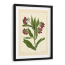 Red Curtis Botanical I - Vision Studio | Cuadro decorativo de Canvas Lab