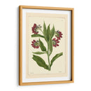 Red Curtis Botanical I - Vision Studio | Cuadro decorativo de Canvas Lab