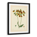 Curtis Amarillo Botánico I - Vision Studio | Cuadro decorativo de Canvas Lab