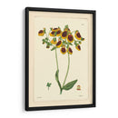 Curtis Amarillo Botánico I - Vision Studio | Cuadro decorativo de Canvas Lab